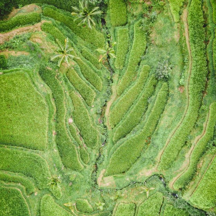 Entertainment zone at night in Switzerland